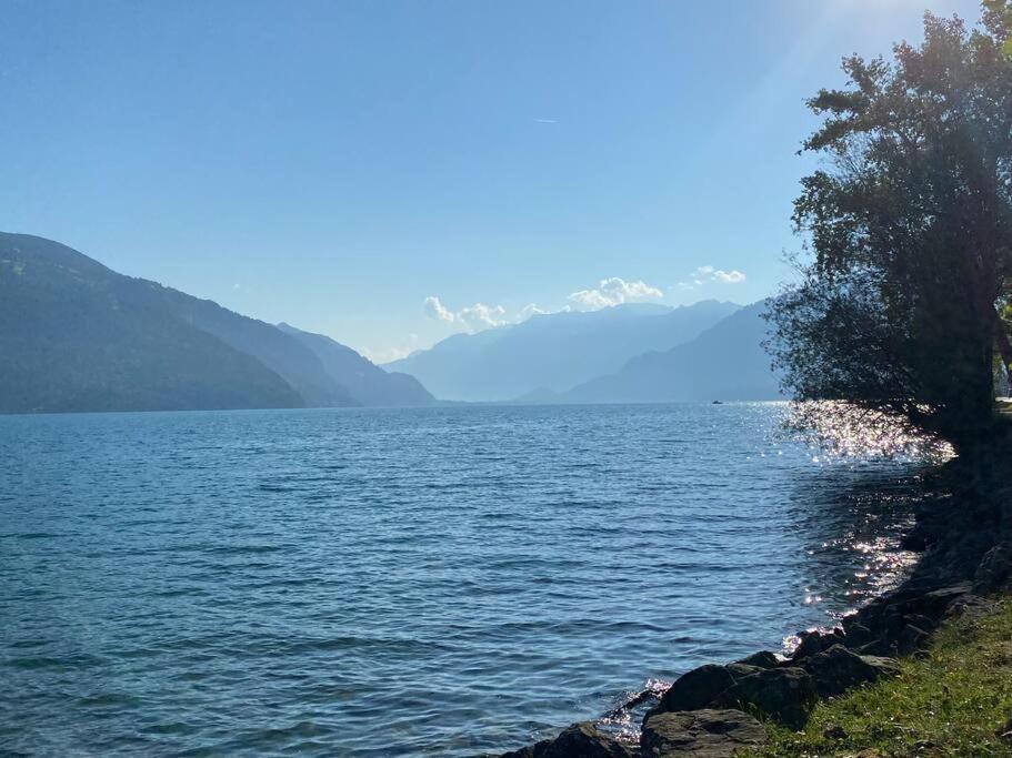 Herrlicher Blick Auf Berge Und See Faulensee Εξωτερικό φωτογραφία