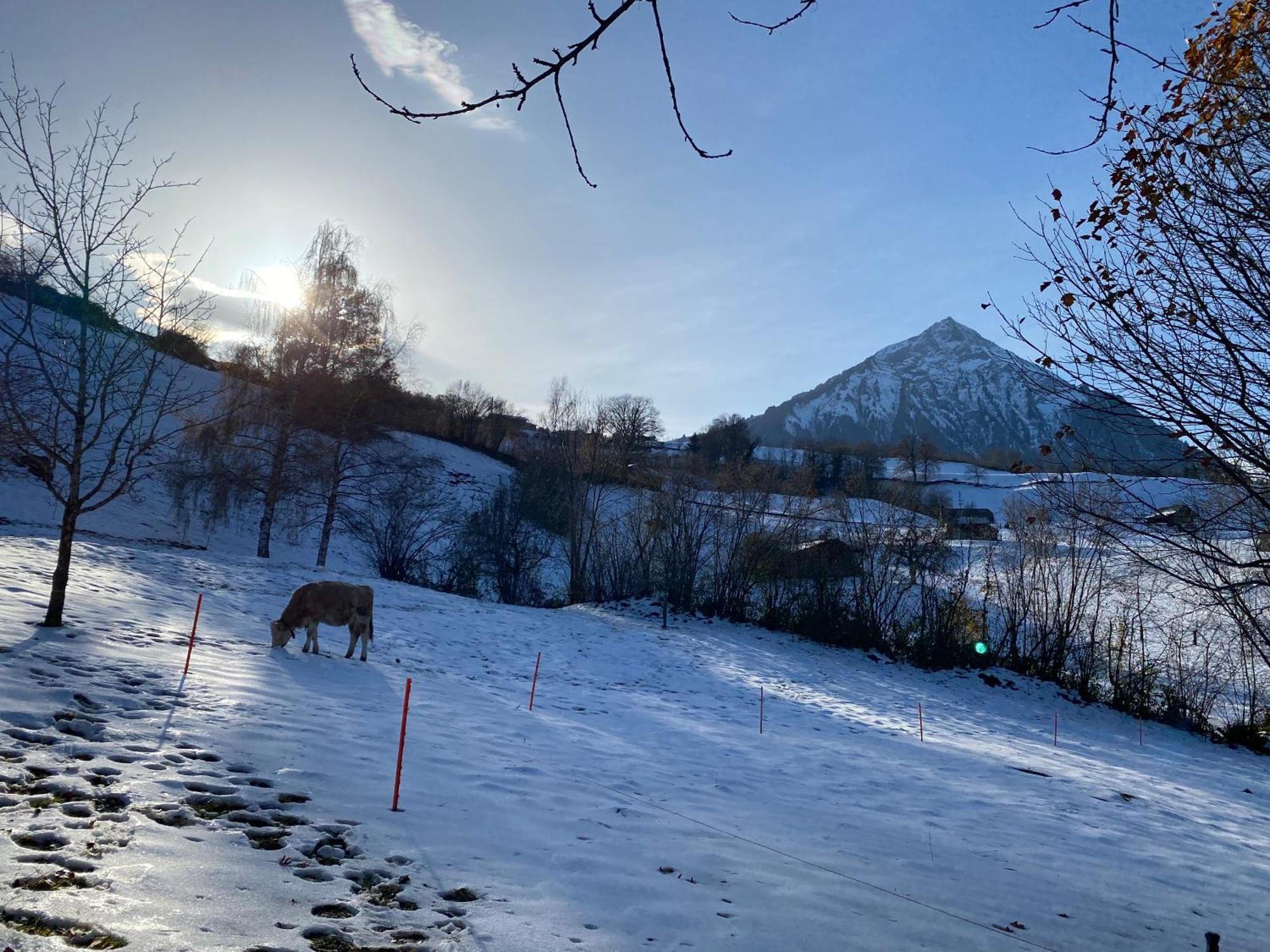 Herrlicher Blick Auf Berge Und See Faulensee Εξωτερικό φωτογραφία
